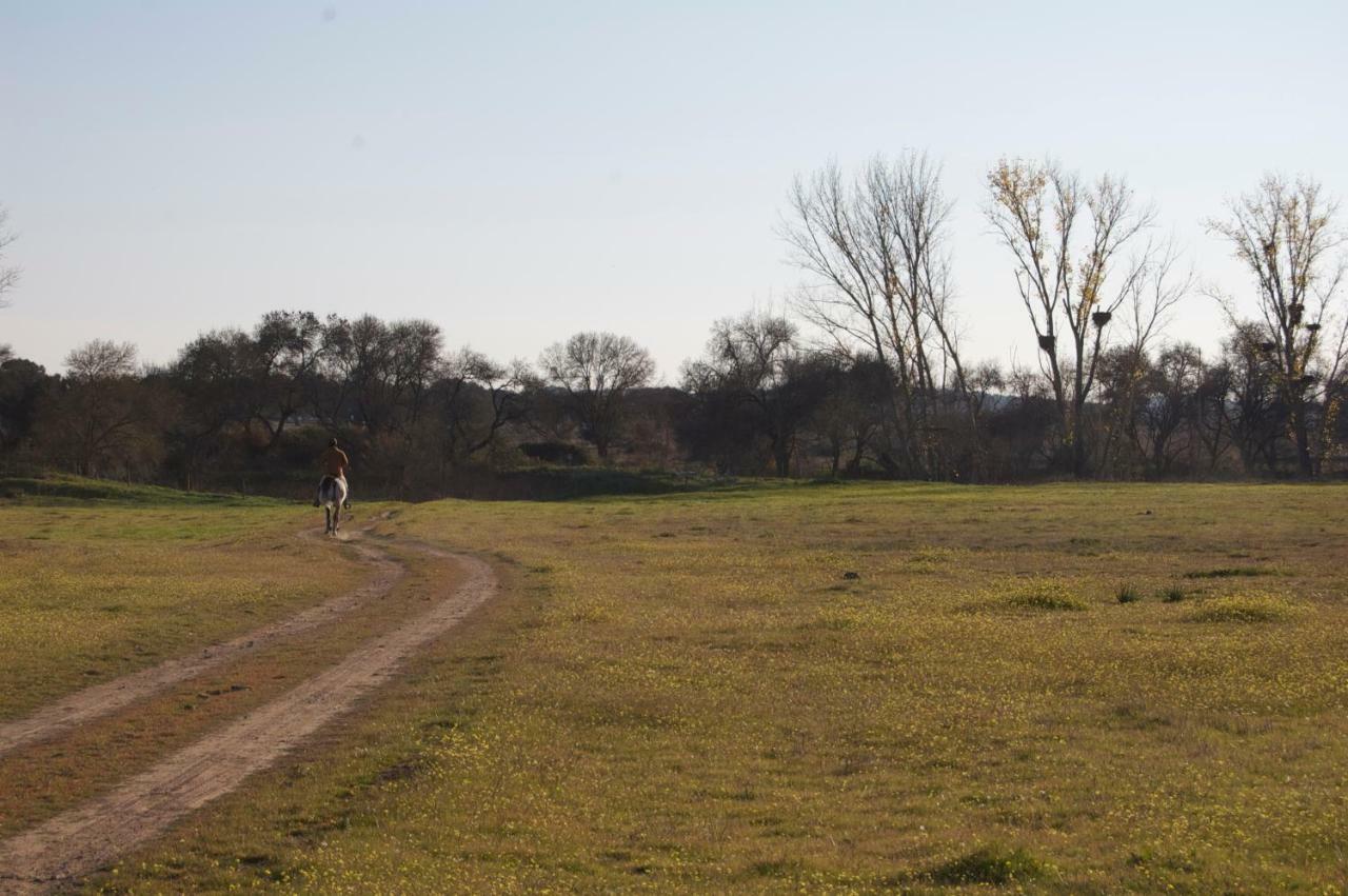 Alcáçovas Herdade Da Burquilheira Family Retreat المظهر الخارجي الصورة