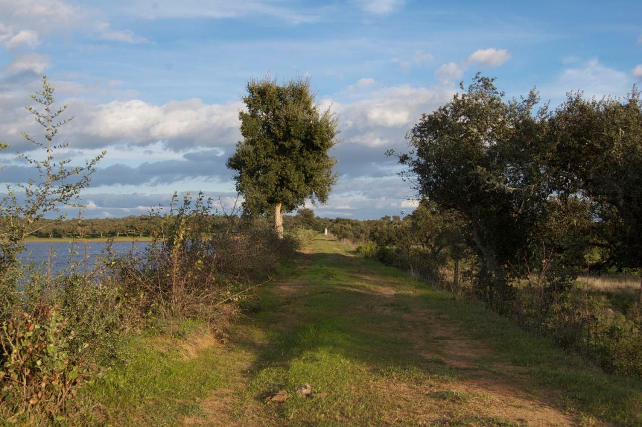 Alcáçovas Herdade Da Burquilheira Family Retreat المظهر الخارجي الصورة