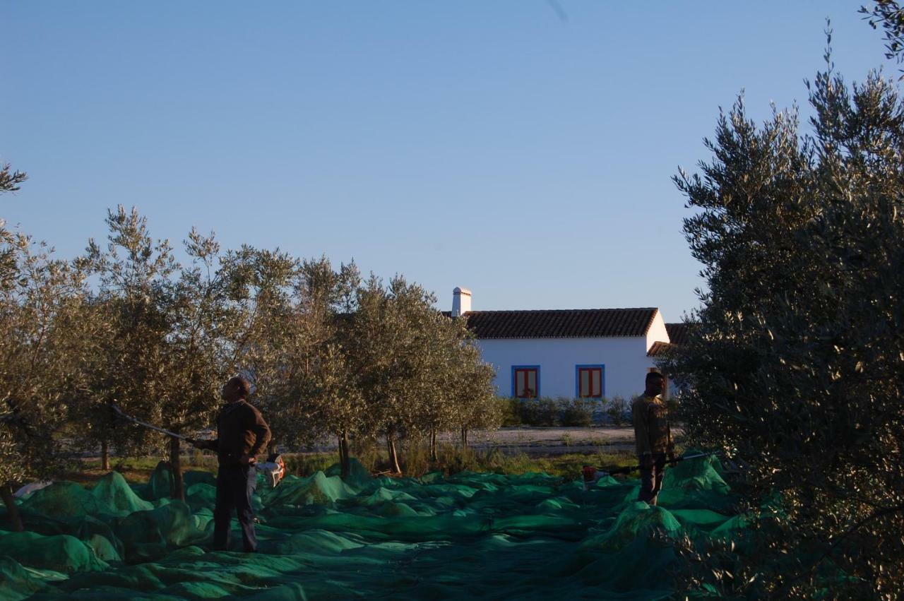 Alcáçovas Herdade Da Burquilheira Family Retreat المظهر الخارجي الصورة